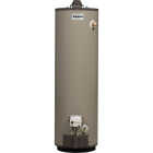 Reliance 40 Gal. Tall 9yr 36,000 BTU Self-Cleaning Liquid Propane (LP) Gas Water Heater Image 1